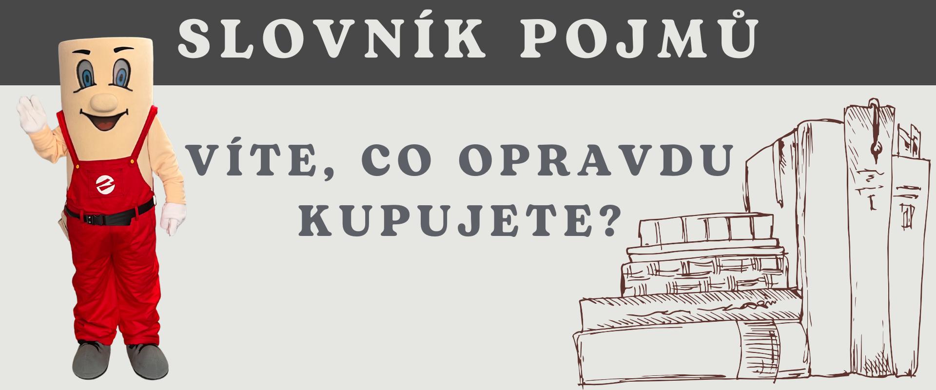 Slovník pojmů
